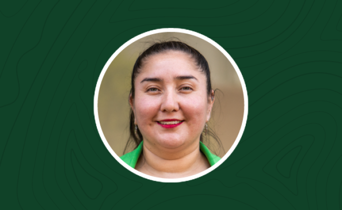 web-isabel-soto